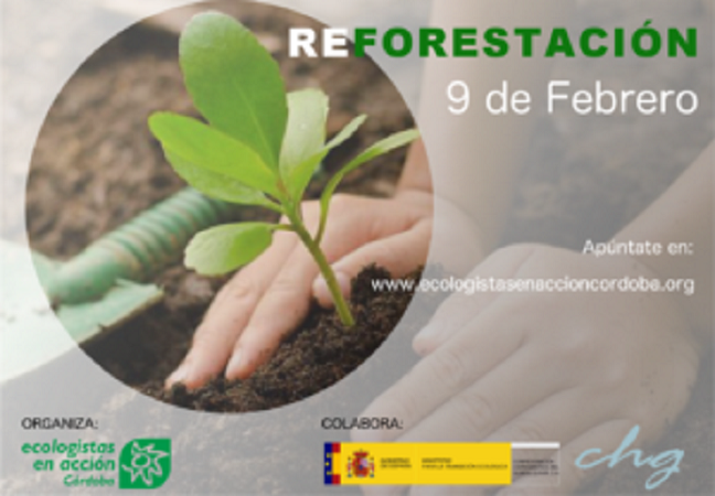 Ecologistas en Acción organiza una reforestación en el cauce del Montón de Tierra el sábado 9 de febrero