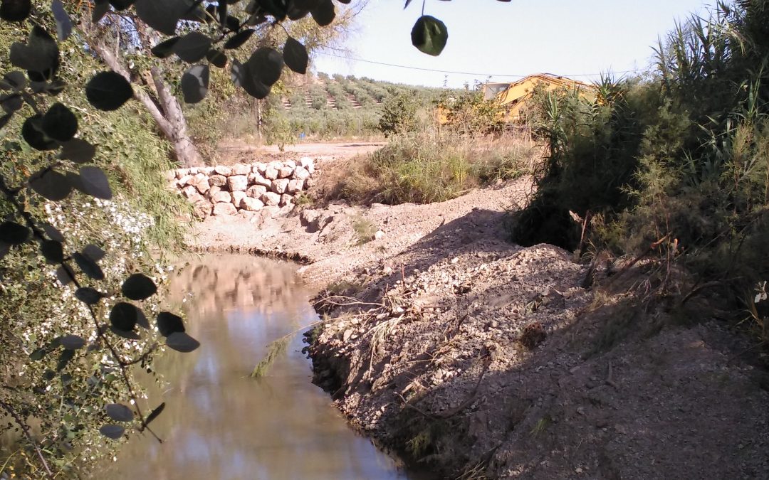 Maquinaria pesada destruye parte del cauce del río Salado en el término de Luque