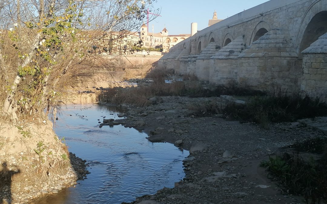 Ecologistas en Acción Andalucía advierte a la Junta de que la sequía no está causada solo por la falta de lluvia