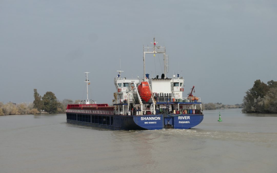 El Puerto de Sevilla ha recibido hoy 6000 toneladas de arena tóxica de Montenegro con destino a Nerva