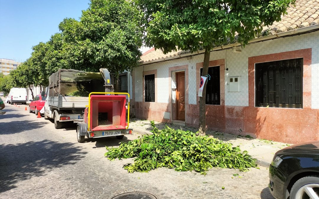 La Asociación Vecinal Guadalquivir denuncia la poda de árboles en plena ola de calor