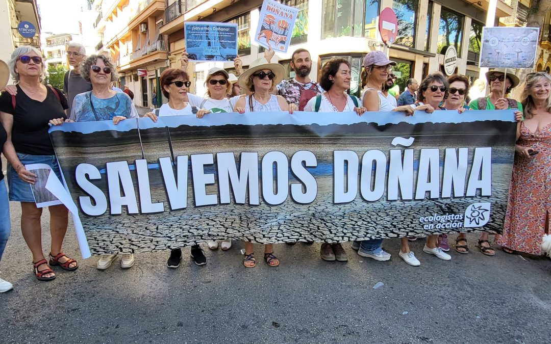 38 colectivos convocan una concentración bajo el lema “Salvemos Doñana”