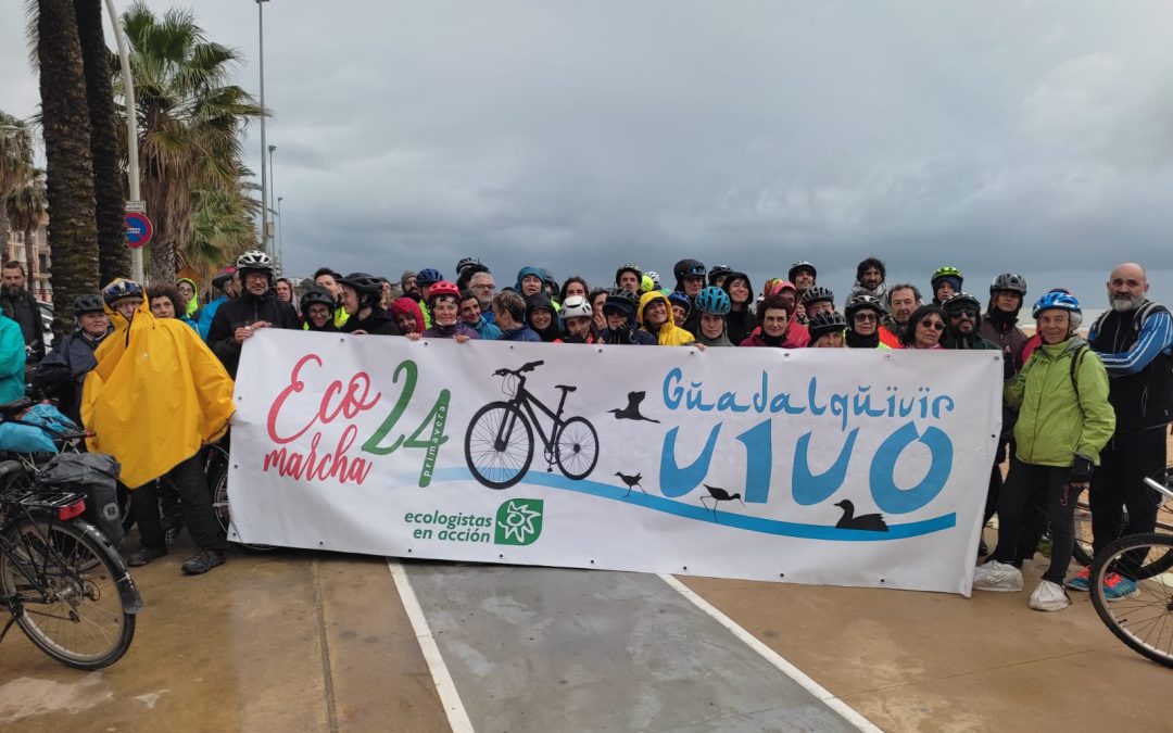 La Ecomarcha en bicicleta de Ecologistas en Acción recorrió el cauce del Guadalquivir desde Córdoba hasta Sanlúcar de Barrameda