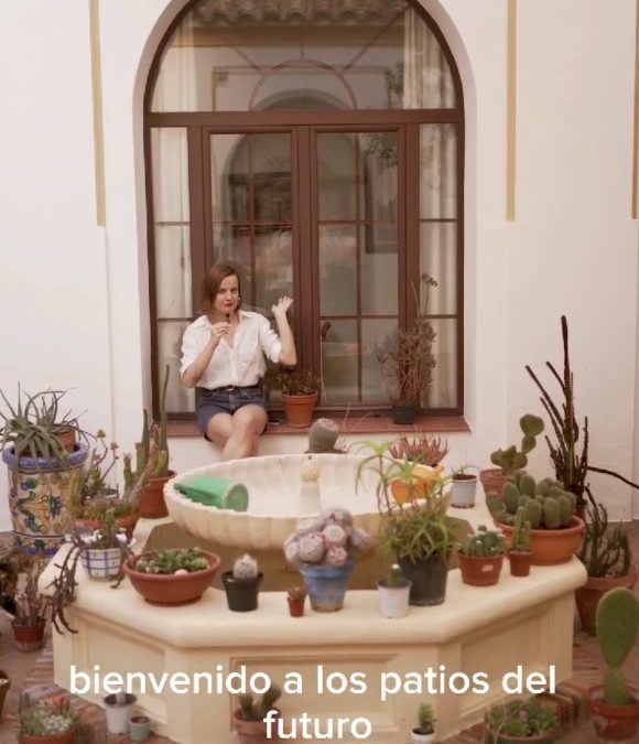 Los Patios de Córdoba en el futuro: cactus y plantas crasas