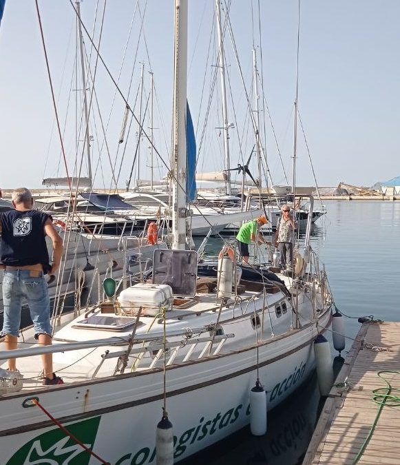 El velero Diosa Maat de Ecologistas en Acción inicia una campaña de estudio y observación de las orcas del Estrecho de Gibraltar