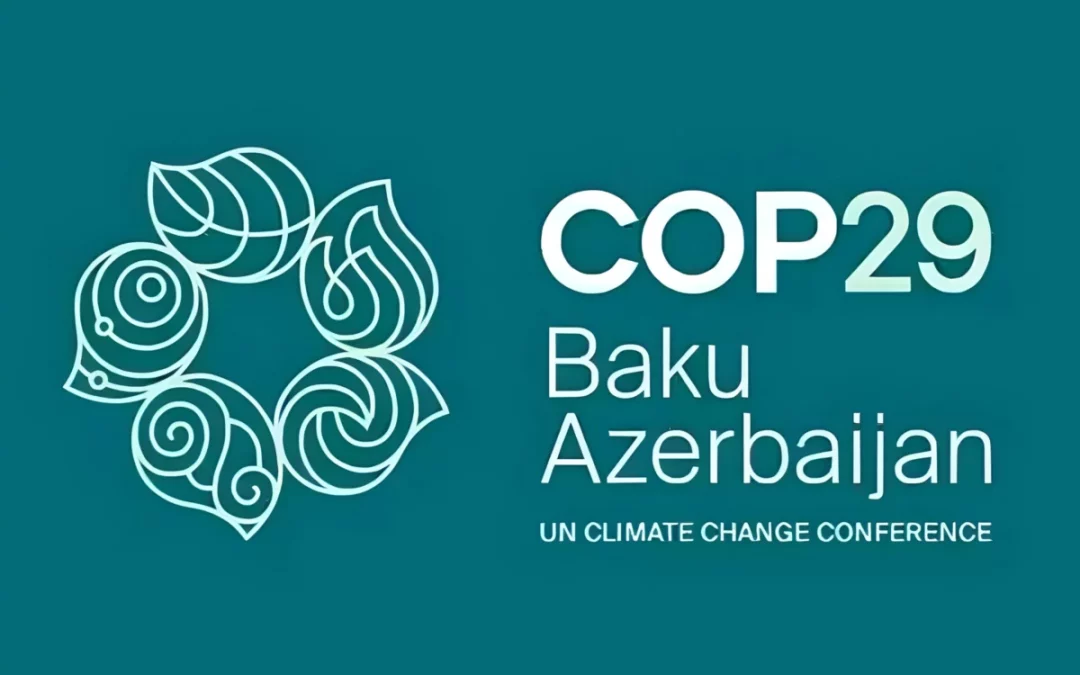 Rebelión por el Clima Córdoba pide adhesiones para la movilización de noviembre coincidiendo con la COP29 de Baku