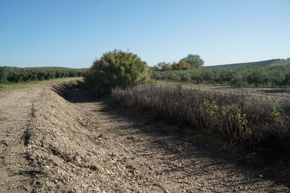 Denuncian una solicitud de desmonte y tala a contracorriente en el Arroyo La Marota