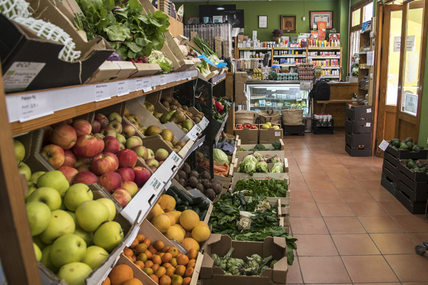 El proyecto ‘Foodtransitions’ evidencia la necesidad de recursos públicos para garantizar una alimentación sostenible