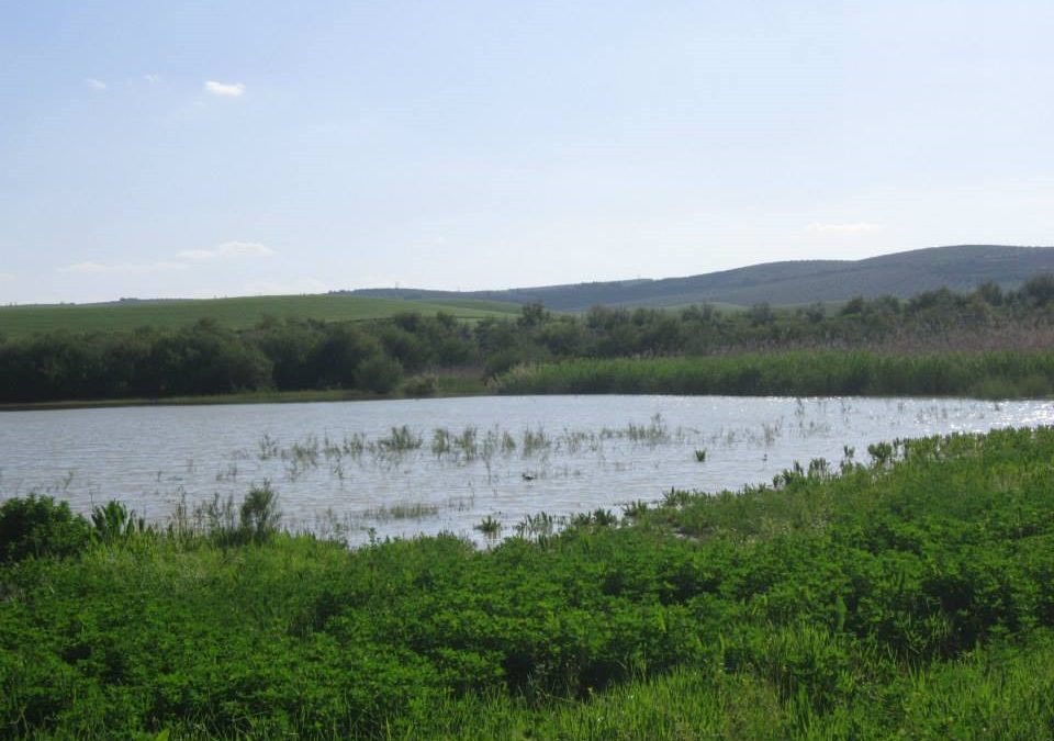 Ecologistas en Acción instan a proteger los humedales