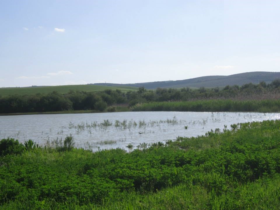 laguna de la Plata de Montilla