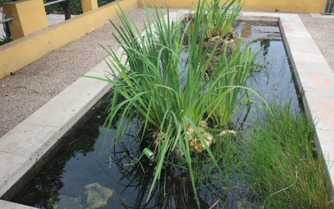 Ecologistas en Acción destaca la participación ciudadana en el cuidado de la fuente de los jardines de Orive