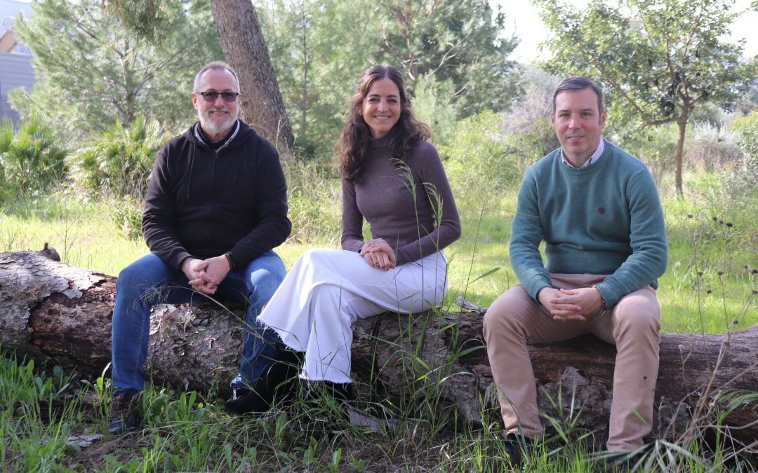 Así se regenera la vegetación mediterránea tras el paso de las llamas