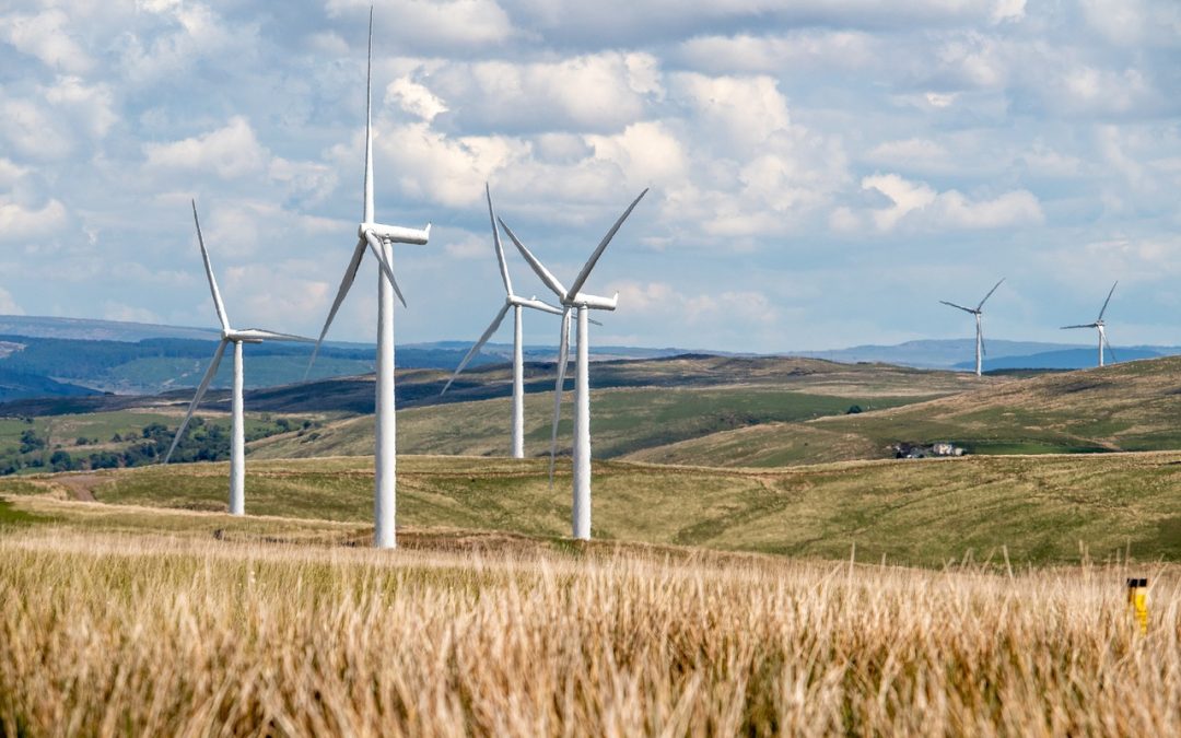 Ecologistas en Acción critica el Proyecto de Decreto de energías renovables de Andalucía