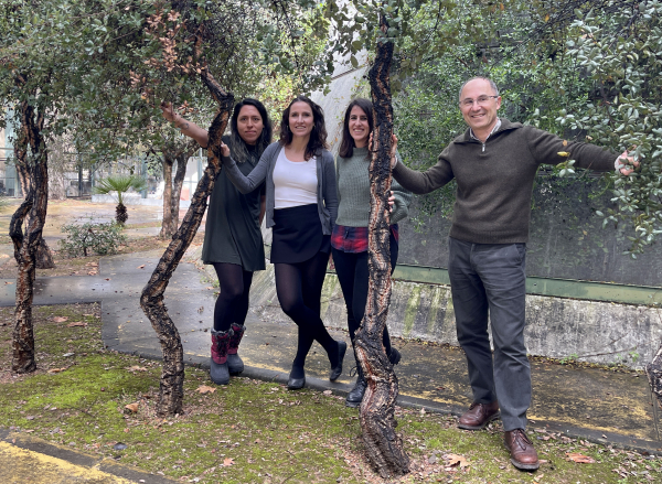 Un estudio de la UCO refleja cómo han cambiado los bosques andaluces en las últimas tres décadas