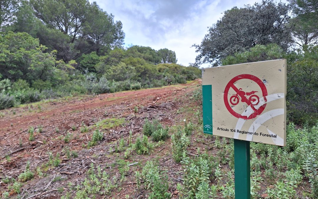 Ecologistas en Acción critica que el parque de los Villares de Córdoba esté convertido en un “circuito de motocross”