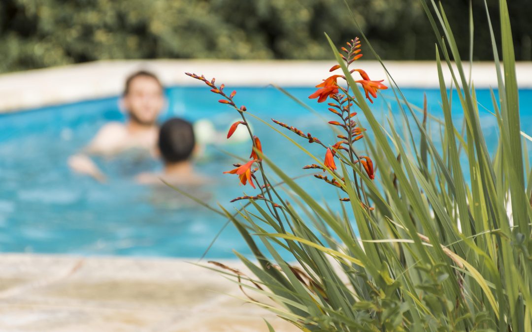 Vacaciones de verano