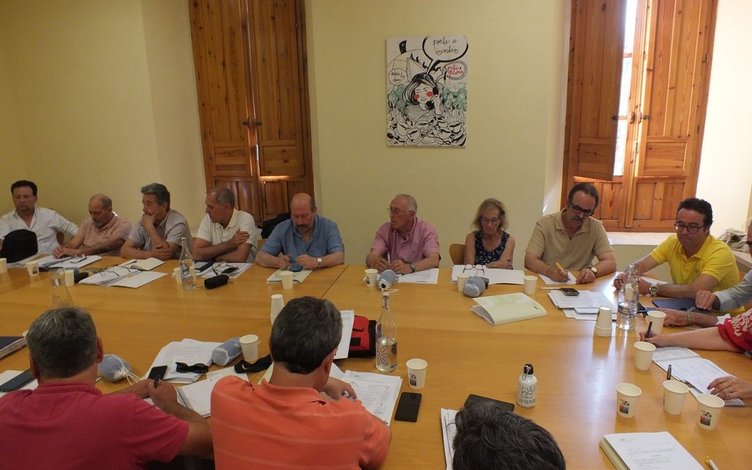 El CMC pide debatir sobre la Zona de Bajas Emisiones, la red de Aucorsa y la normativa de Movilidad