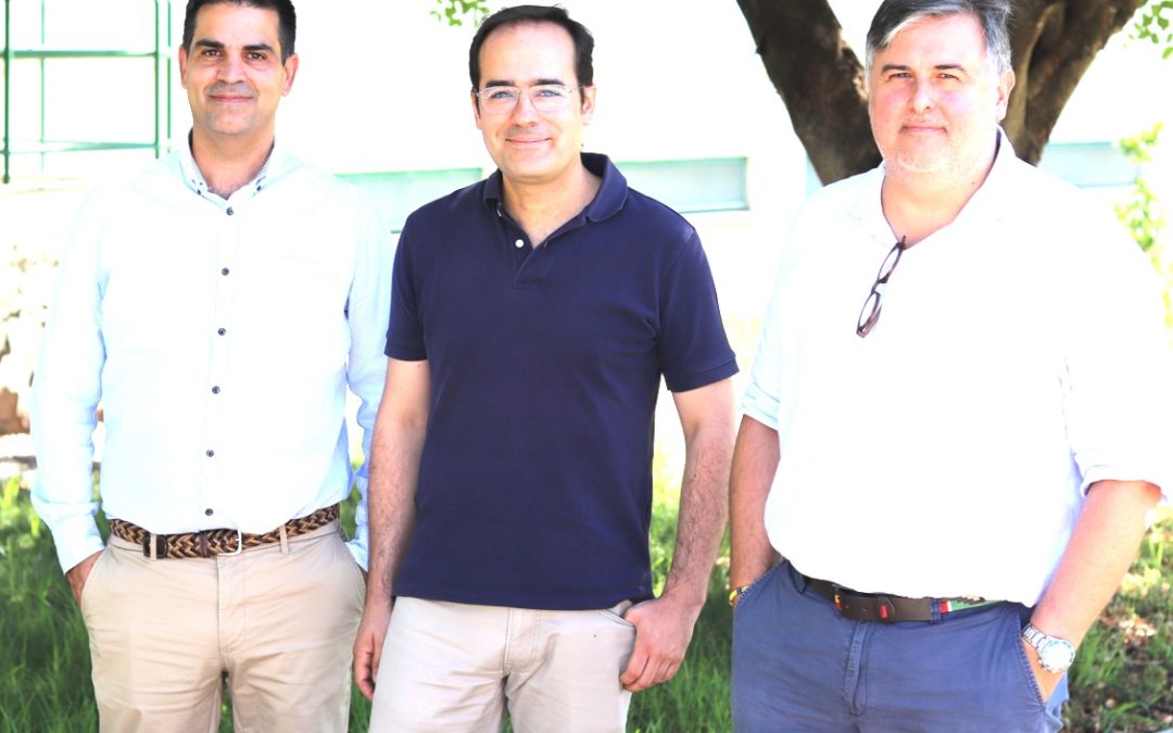 Desarrollan un modelo para reducir fugas de agua en las redes de distribución a partir de datos de los cambios de presión