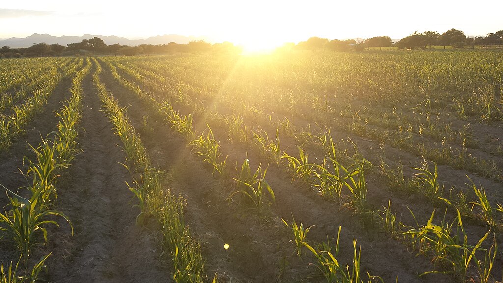 El IES Galileo Galilei lanza la Incubadora AgriNext de Agricultura Multifuncional y abre su convocatoria de participantes